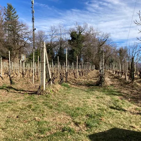 Di Tra I Vigneti * Monteggio