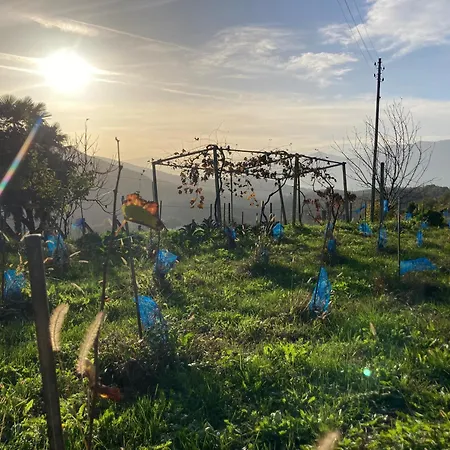 Apartment Di Tra I Vigneti *